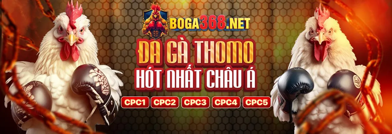 Tầm nhìn tương lai của Bong88